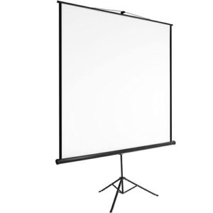 iVew Écran de Vidéoprojection sur Trépied 240x240 cm