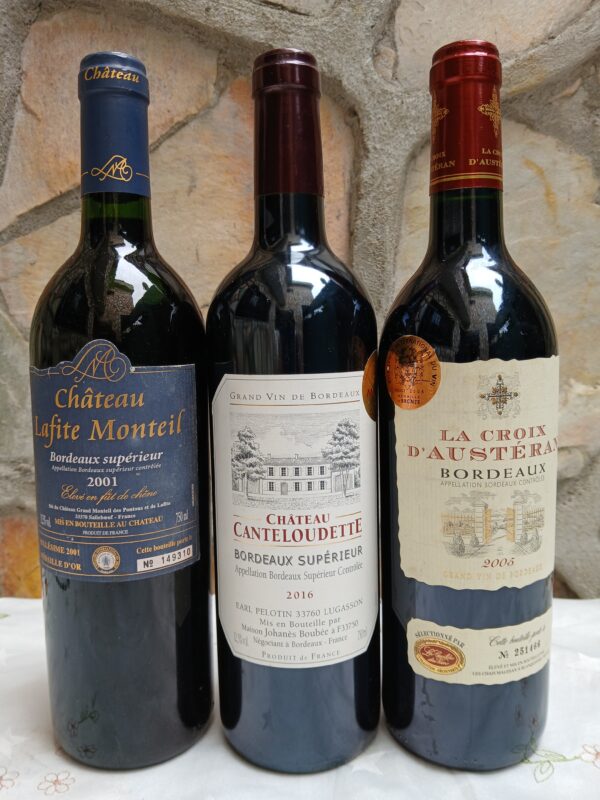 Offre exclusive : Pack Découverte des Terroirs de Bordeaux. – Image 3