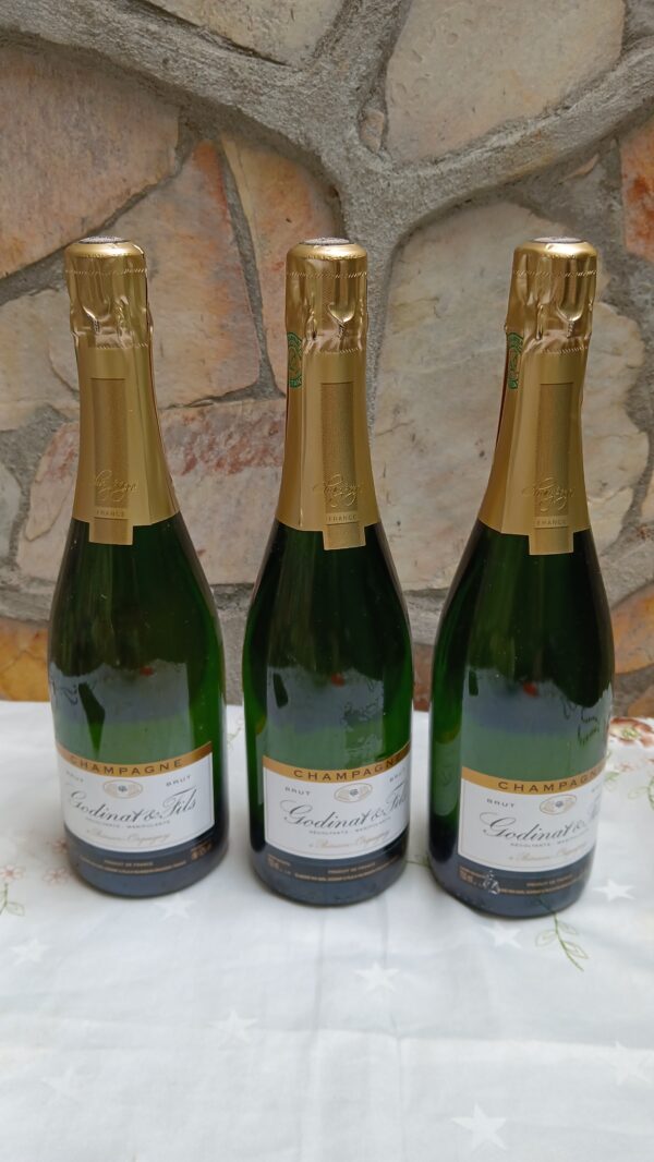 Godinat & Fils - Brut